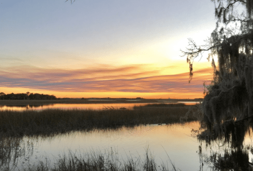 A serene sunset over a marsh, with vibrant colors reflecting on the water and trees draped in Spanish moss.