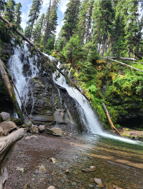 A serene waterfall cascades down rocky cliffs, surrounded by lush green trees and a tranquil pool below.