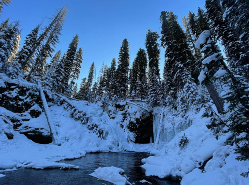 A serene winter landscape featuring a snowy river surrounded by tall evergreen trees under a clear blue sky.