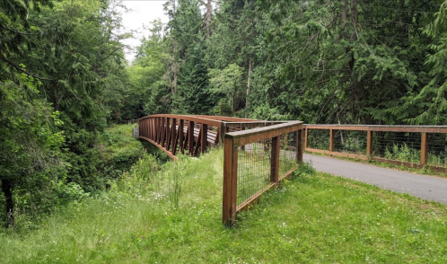 A wooden bridge curves over a lush green landscape, surrounded by trees and grass.