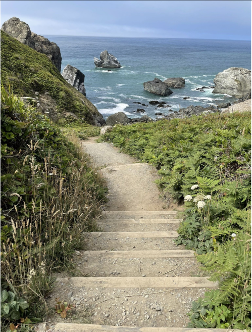 A sandy path with wooden steps leads down to a rocky coastline and calm blue ocean under a cloudy sky.