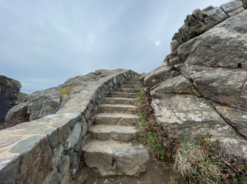 Stone steps winding up a rocky path, surrounded by grass and shrubs under a cloudy sky.