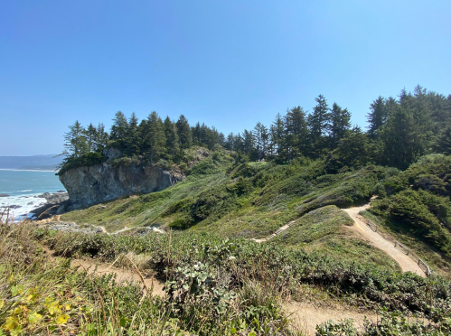 A coastal landscape featuring a rocky cliff, lush greenery, and a winding path under a clear blue sky.