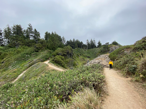 A person in a yellow jacket walks along a winding trail through lush greenery and rocky terrain under a cloudy sky.