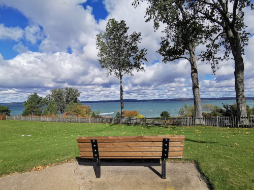 A wooden bench overlooks a serene lake with trees and a cloudy sky in the background.