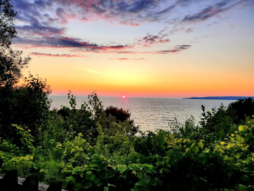 A vibrant sunset over the ocean, with colorful clouds and lush greenery in the foreground.