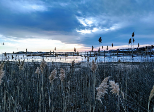 A serene lakeside view at dusk, with tall grasses in the foreground and a wooden pier in the background under a cloudy sky.