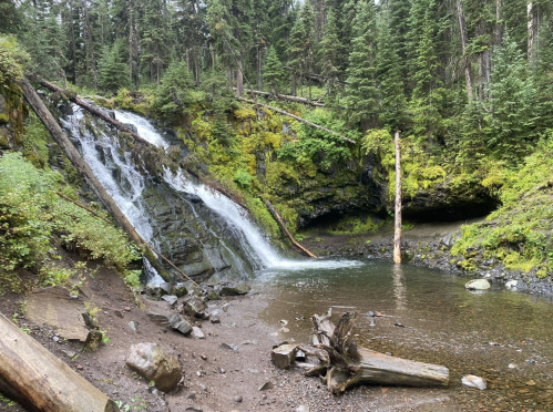 A serene waterfall cascades into a rocky pool, surrounded by lush green trees and mossy rocks in a forested area.