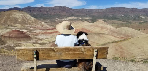 A person and a dog sit on a bench, overlooking colorful hills and a vast landscape under a clear blue sky.