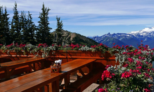 A scenic outdoor dining area with wooden tables surrounded by vibrant flowers and mountains in the background.