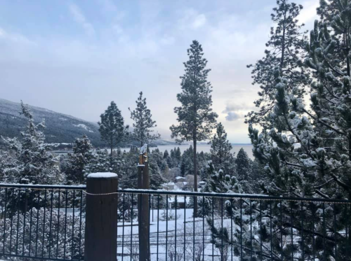 Snow-covered trees frame a serene lake view under a cloudy sky, with a wooden fence in the foreground.