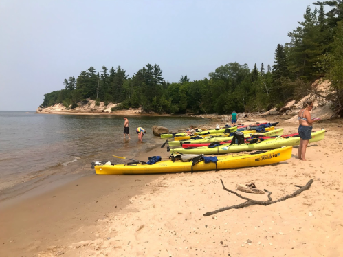 A sandy beach with yellow kayaks lined up, people preparing to kayak, and trees in the background.