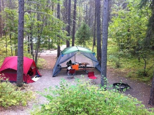 A campsite in a forest with two tents, a picnic table, and a fire pit surrounded by trees and greenery.