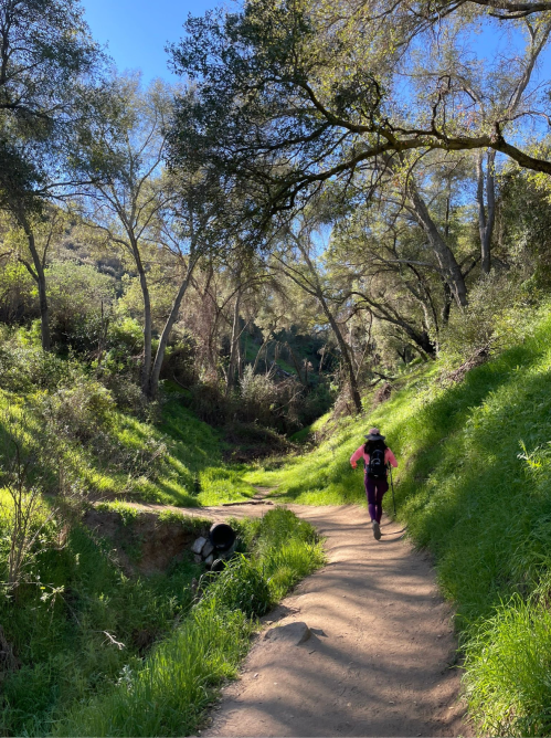 A hiker walks along a dirt path surrounded by lush greenery and trees in a sunny, serene landscape.