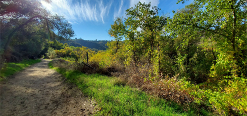 A scenic trail surrounded by lush greenery and trees under a clear blue sky with wispy clouds.