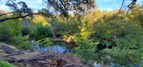 A serene river surrounded by lush greenery and trees, reflecting the vibrant colors of nature in a peaceful setting.