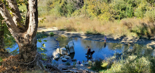 A serene river scene with a person and a dog by the water, surrounded by trees and rocks in a natural setting.