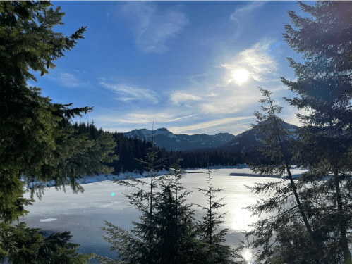 A serene lake surrounded by evergreen trees and mountains, reflecting sunlight on a clear day.