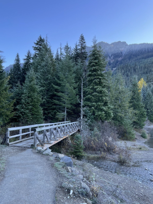 A wooden bridge crosses a serene river, surrounded by tall evergreen trees and misty mountains in the background.