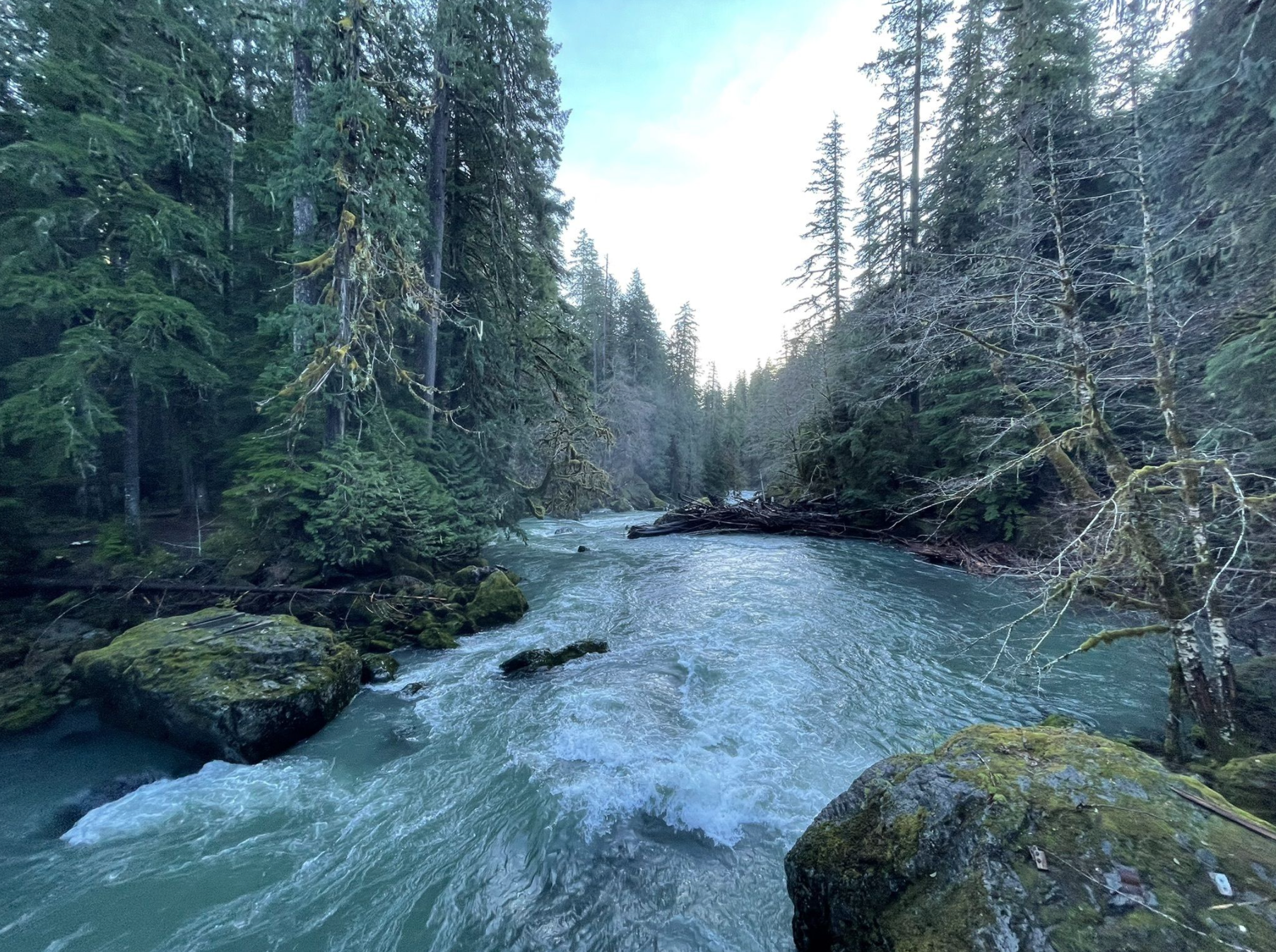 lanscapes, Trees, Forest, Water, Rapids, Sunlight, Beam, Ray Wallpapers HD  / Desktop and Mobile Backgrounds, image size:1806x1348