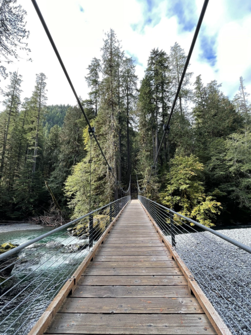 A wooden suspension bridge stretches over a river, surrounded by tall green trees and a cloudy sky.