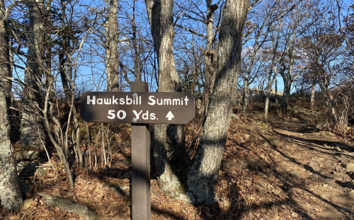 Signpost indicating "Hawksbill Summit 50 Yds" with trees and a clear blue sky in the background.
