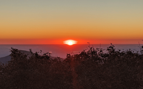 A vibrant sunset over a horizon, with silhouetted foliage in the foreground.