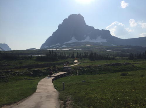 A wooden path leads through green fields towards a large, snow-capped mountain under a bright sky.