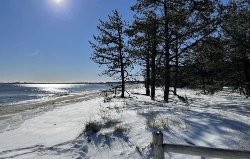 A snowy beach scene with trees, sunlight reflecting on the water, and a clear blue sky.