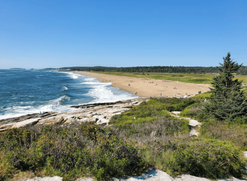 A scenic beach view with sandy shores, gentle waves, and lush greenery under a clear blue sky.