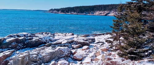 Rocky shoreline with snow, blue water, and evergreen trees under a clear sky.