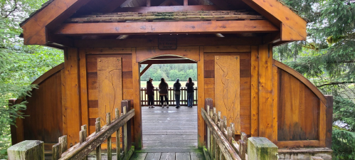 A wooden bridge leads to a scenic overlook, with silhouettes of people standing at the edge, surrounded by trees.