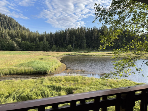 A serene landscape featuring a calm waterway surrounded by lush green grass and dense forest under a partly cloudy sky.