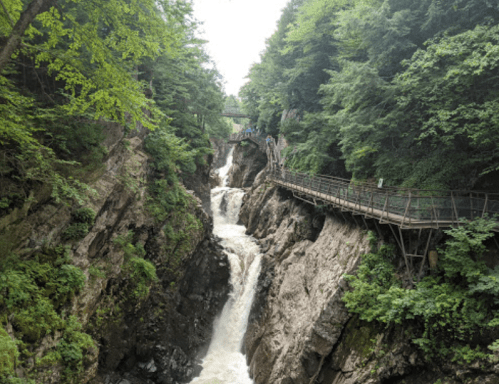 A scenic view of a waterfall cascading through a rocky gorge, surrounded by lush green trees and a wooden walkway.
