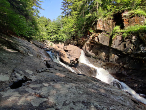 A rocky stream flows through a forested area, surrounded by lush greenery and steep stone walls.