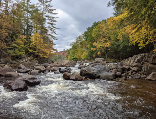 A flowing river with rocky banks, surrounded by trees displaying autumn colors under a cloudy sky.