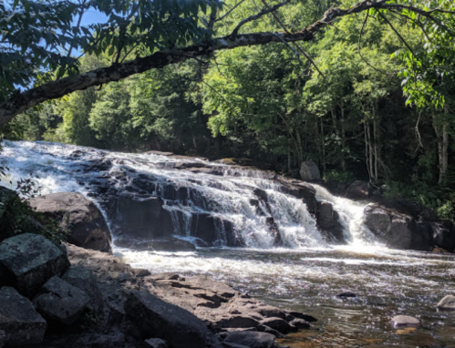 A serene waterfall cascades over rocks, surrounded by lush green trees and a clear blue sky.