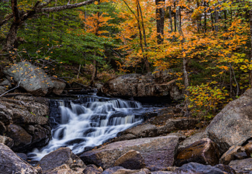 A serene waterfall cascades over rocks, surrounded by vibrant autumn foliage in a tranquil forest setting.