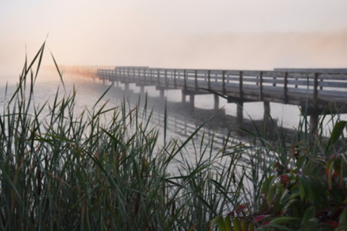 A foggy morning scene of a wooden pier extending over calm water, surrounded by tall grasses.