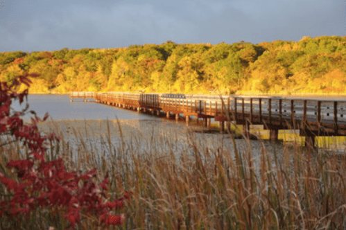 A wooden pier extends into a calm lake, surrounded by colorful autumn foliage and tall grasses.