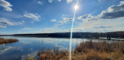 A serene lake scene with tall grasses, a bright sun, and fluffy clouds reflecting on the water's surface.