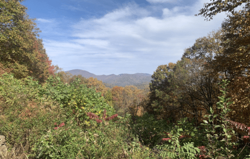 A scenic view of mountains in the distance, surrounded by colorful autumn foliage and a clear blue sky.