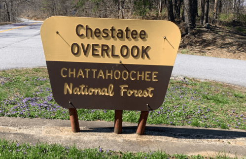 Sign for Chestatee Overlook in Chattahoochee National Forest, featuring brown and gold colors, surrounded by greenery.