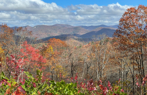 A scenic view of colorful autumn foliage with mountains and a blue sky in the background.
