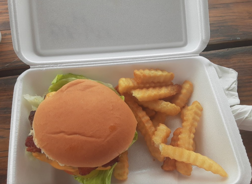 A takeout container with a burger topped with lettuce and cheese, alongside a serving of crinkle-cut fries.