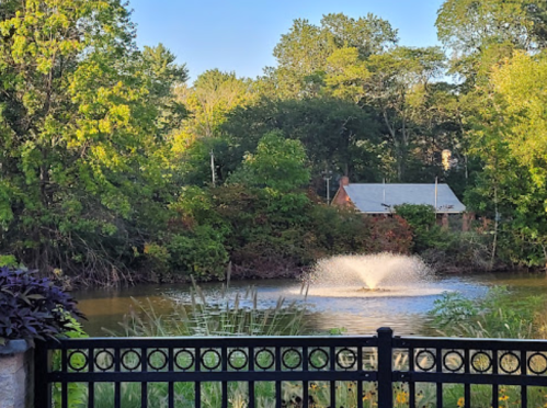 A serene pond with a fountain surrounded by lush greenery and a house in the background under a clear blue sky.