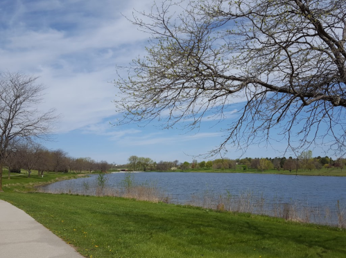 A serene lakeside view with a path, trees, and a clear blue sky reflecting on the water.