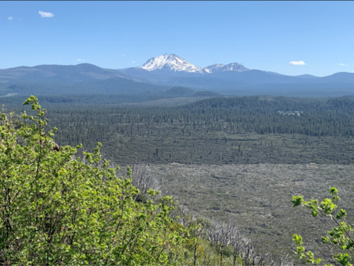 A panoramic view of a mountainous landscape with snow-capped peaks and lush green foliage in the foreground.