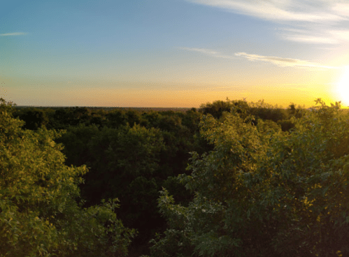 A vibrant sunset over a lush green landscape, with trees silhouetted against the colorful sky.