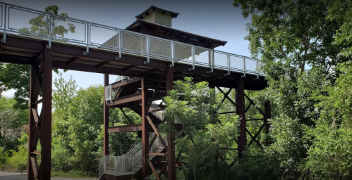 A wooden observation tower with a staircase, surrounded by lush greenery and trees.